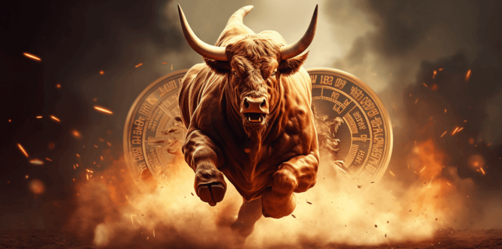 What is a Crypto Bull Run?